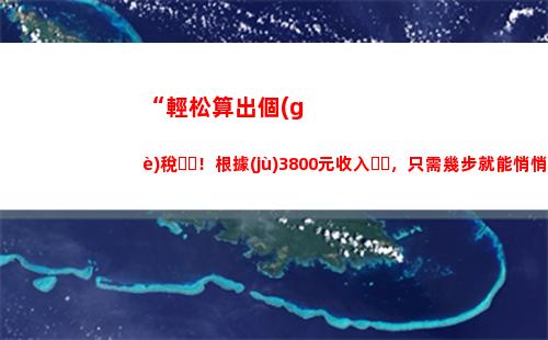 個(gè)人所得稅b表(個(gè)人所得稅B表如何申報(bào))